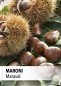 Preview: Maraval