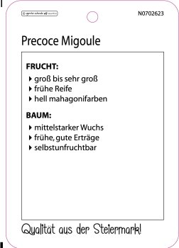 Preview: Precoce Migoule
