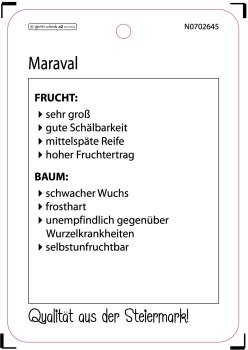 Preview: Maraval
