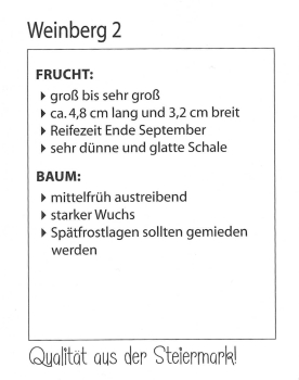 Preview: Weinberg 2