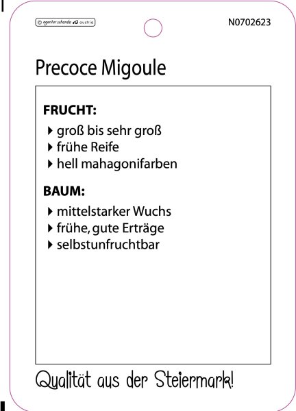 Precoce Migoule