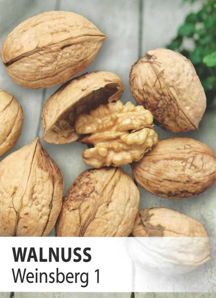 Weinsberg 1